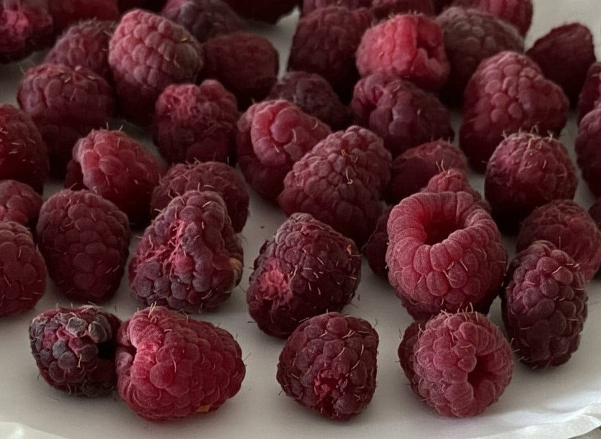 Apple Size Raspberry Raspberries – A Fruitful Place