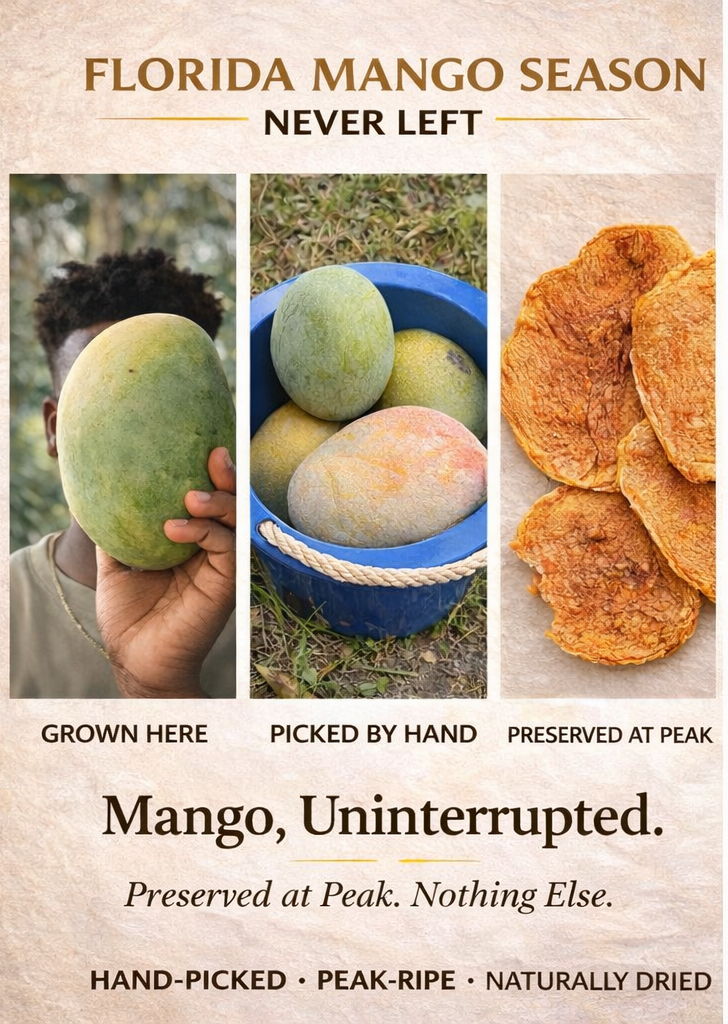 Organic Dried Mango Slices – Florida Grown from Heritage Trees | Small Batch • No Added Sugar